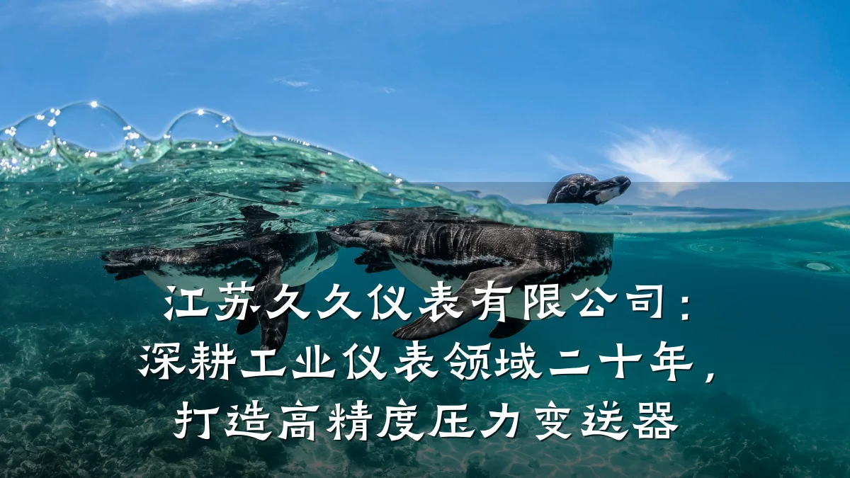 江苏久久仪表有限公司:深耕工业仪表领域二十年,打造高精度压力变送器