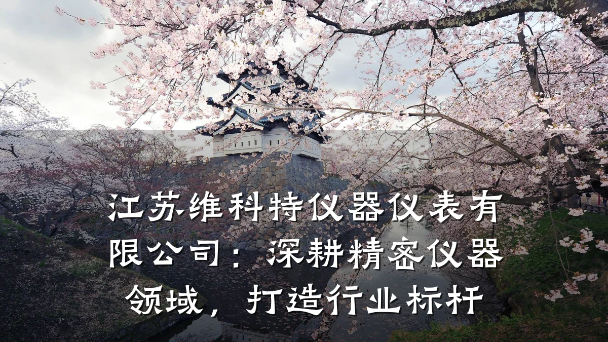 江苏维科特仪器仪表有限公司:深耕精密仪器领域,打造行业标杆