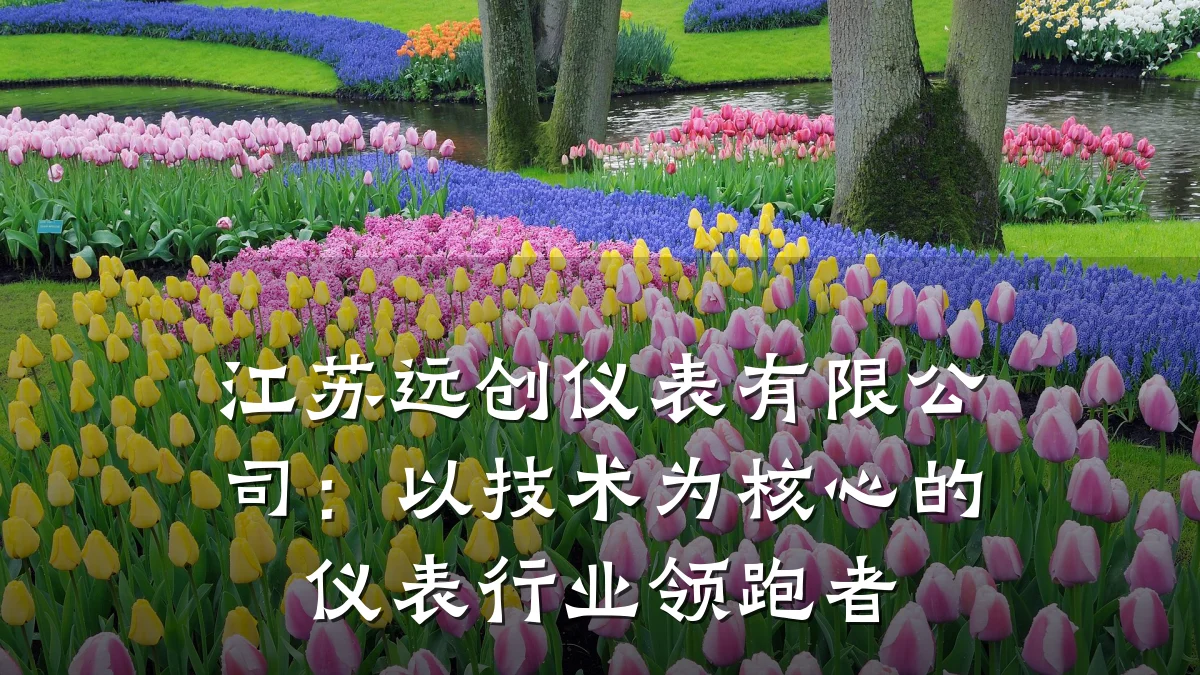 江苏远创仪表有限公司:以技术为核心的仪表行业领跑者