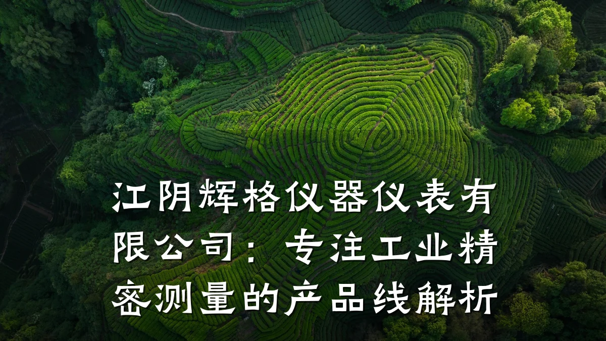 江阴辉格仪器仪表有限公司:专注工业精密测量的产品线解析