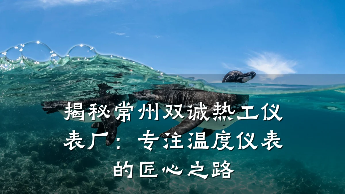 揭秘常州双诚热工仪表厂:专注温度仪表的匠心之路