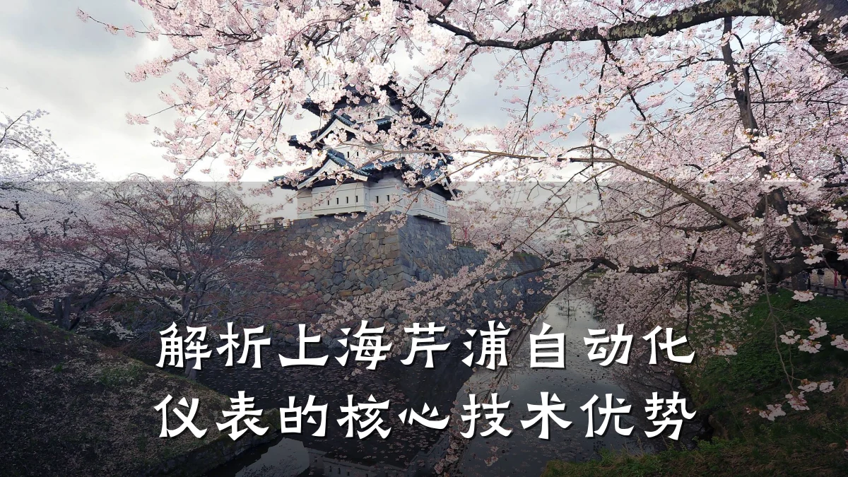 解析上海芹浦自动化仪表的核心技术优势