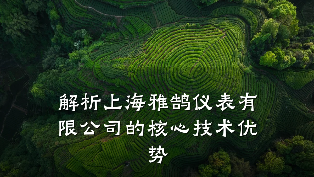 解析上海雅鹄仪表有限公司的核心技术优势