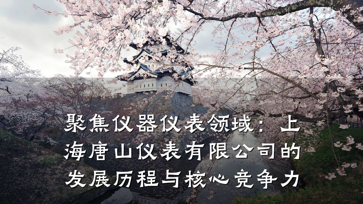 聚焦仪器仪表领域:上海唐山仪表有限公司的发展历程与核心竞争力