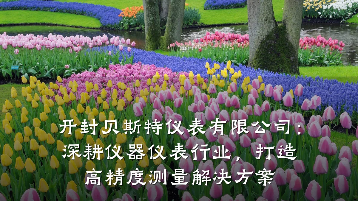 开封贝斯特仪表有限公司:深耕仪器仪表行业,打造高精度测量解决方案