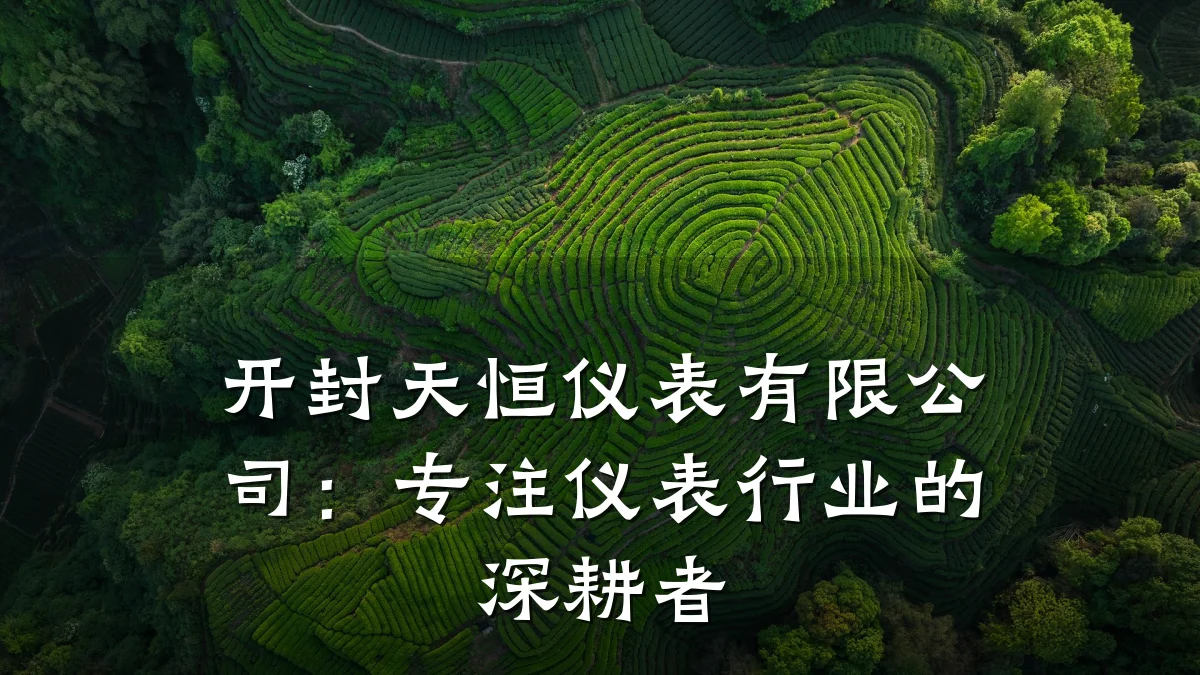 开封天恒仪表有限公司：专注仪表行业的深耕者