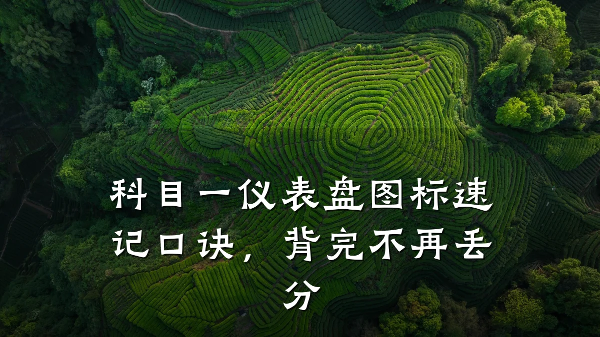 科目一仪表盘图标速记口诀,背完不再丢分