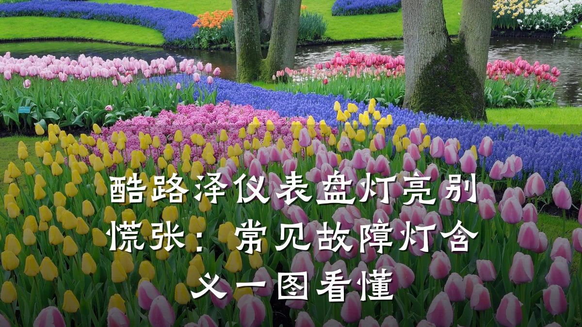 酷路泽仪表盘灯亮别慌张:常见故障灯含义一图看懂