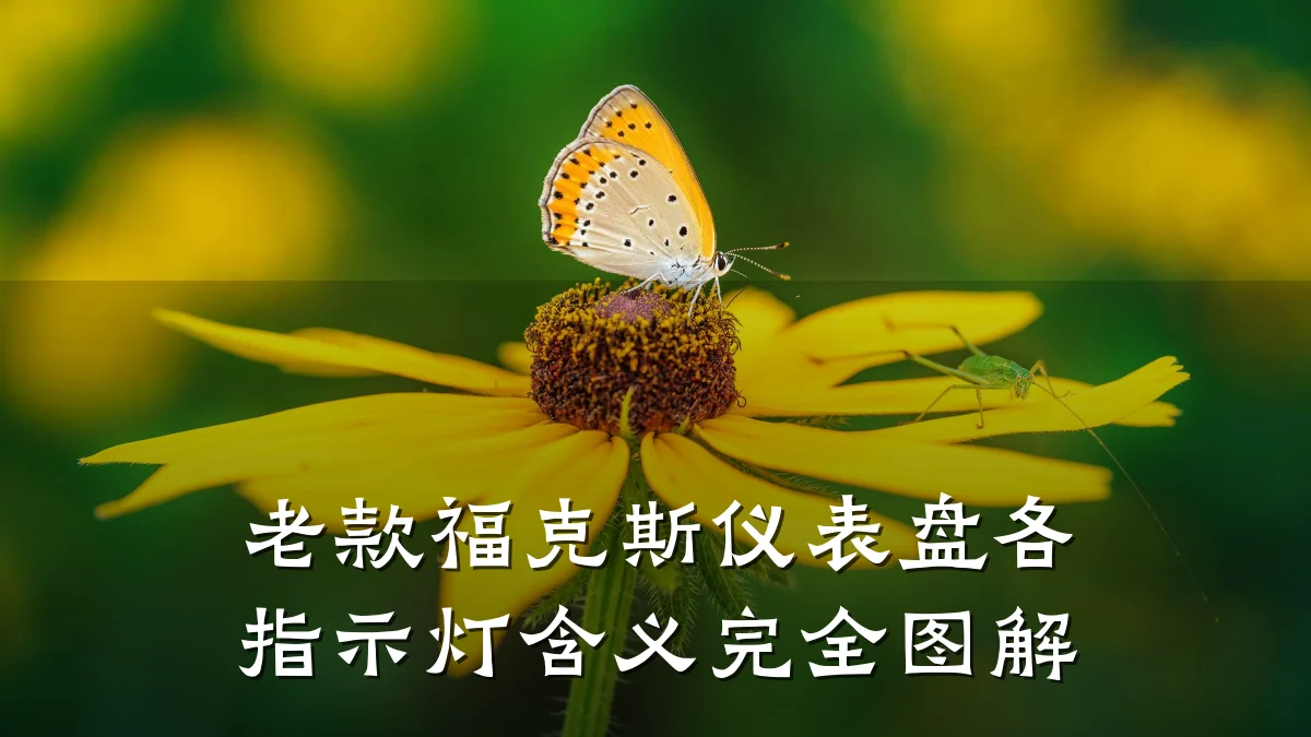 老款福克斯仪表盘各指示灯含义完全图解