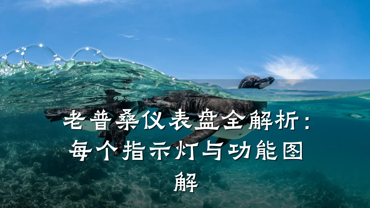 老普桑仪表盘全解析：每个指示灯与功能图解