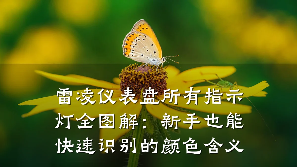 雷凌仪表盘所有指示灯全图解:新手也能快速识别的颜色含义