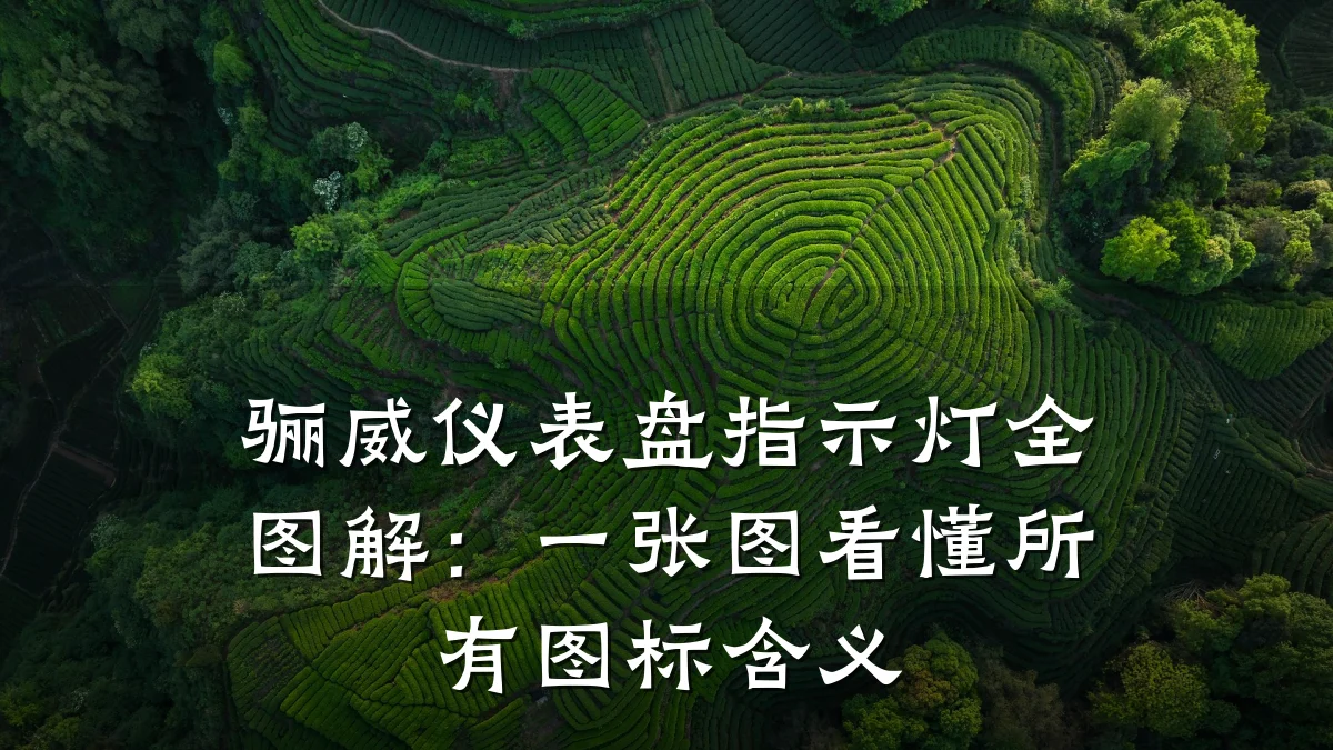 骊威仪表盘指示灯全图解:一张图看懂所有图标含义