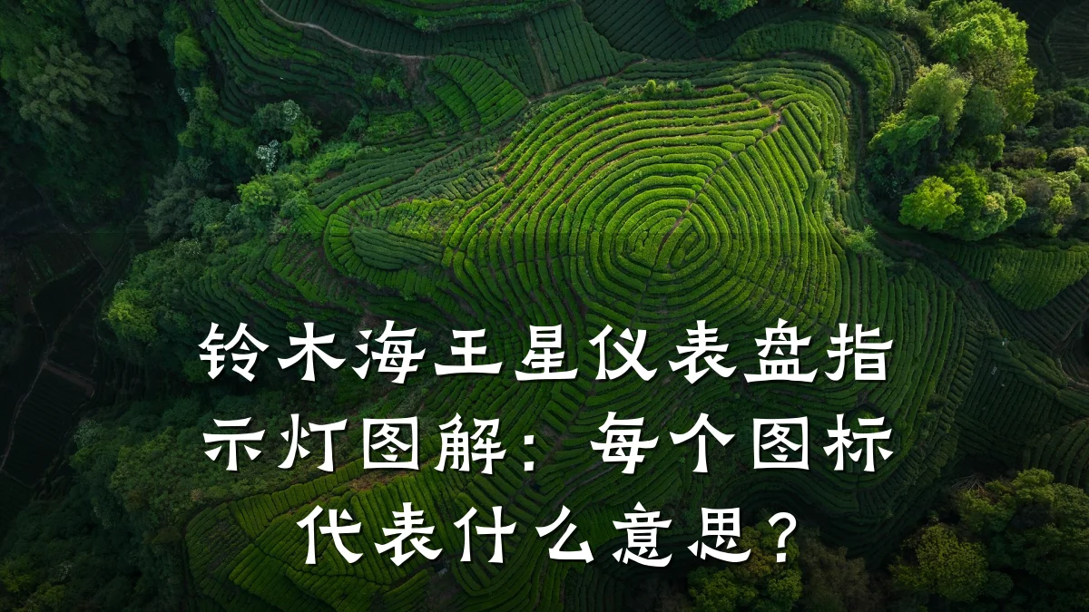 铃木海王星仪表盘指示灯图解:每个图标代表什么意思?