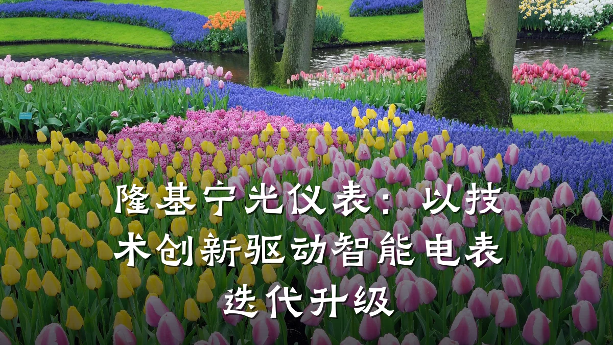 隆基宁光仪表:以技术创新驱动智能电表迭代升级