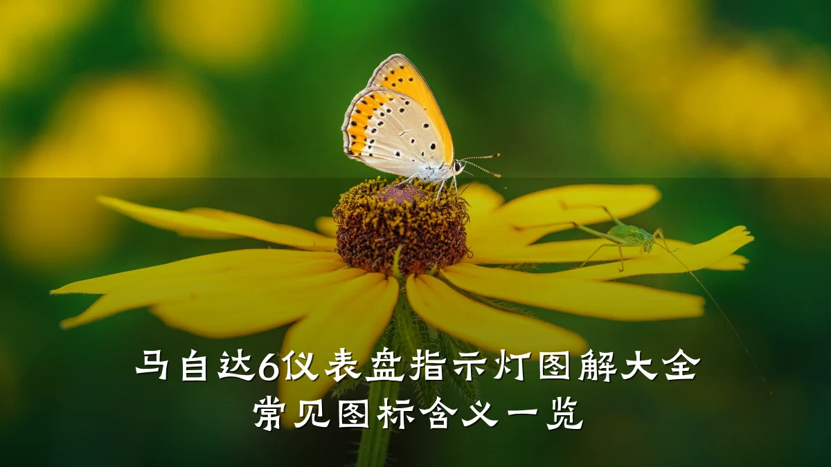 马自达6仪表盘指示灯图解大全 常见图标含义一览