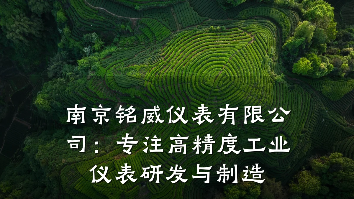 南京铭威仪表有限公司:专注高精度工业仪表研发与制造