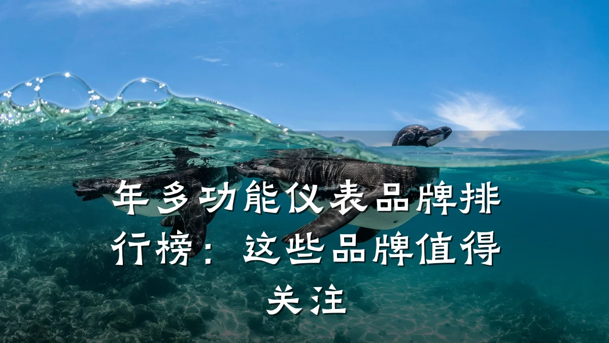 年多功能仪表品牌排行榜:这些品牌值得关注