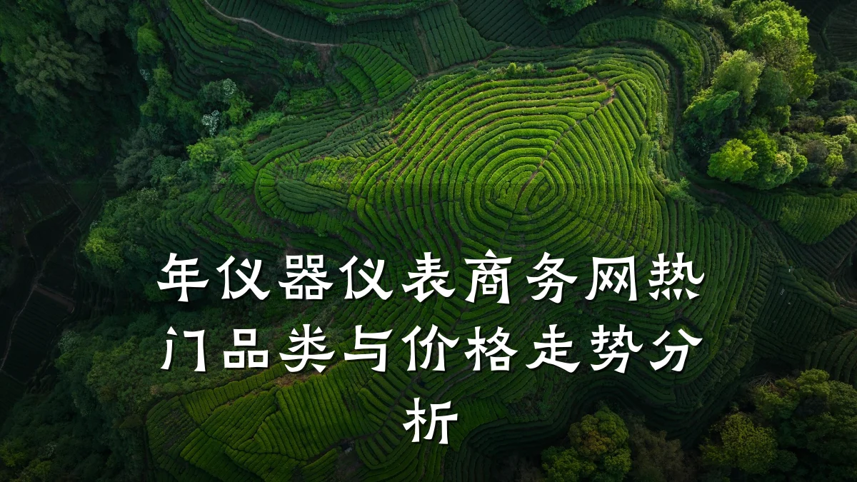 年仪器仪表商务网热门品类与价格走势分析