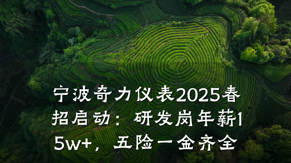 宁波奇力仪表2025春招启动:研发岗年薪15w+,五险一金齐全