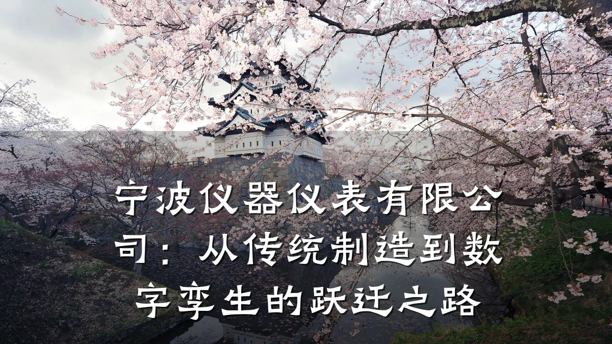 宁波仪器仪表有限公司：从传统制造到数字孪生的跃迁之路