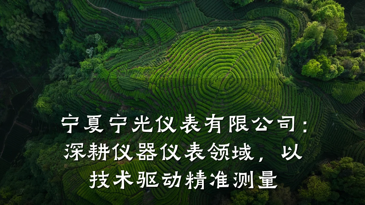 宁夏宁光仪表有限公司:深耕仪器仪表领域,以技术驱动精准测量