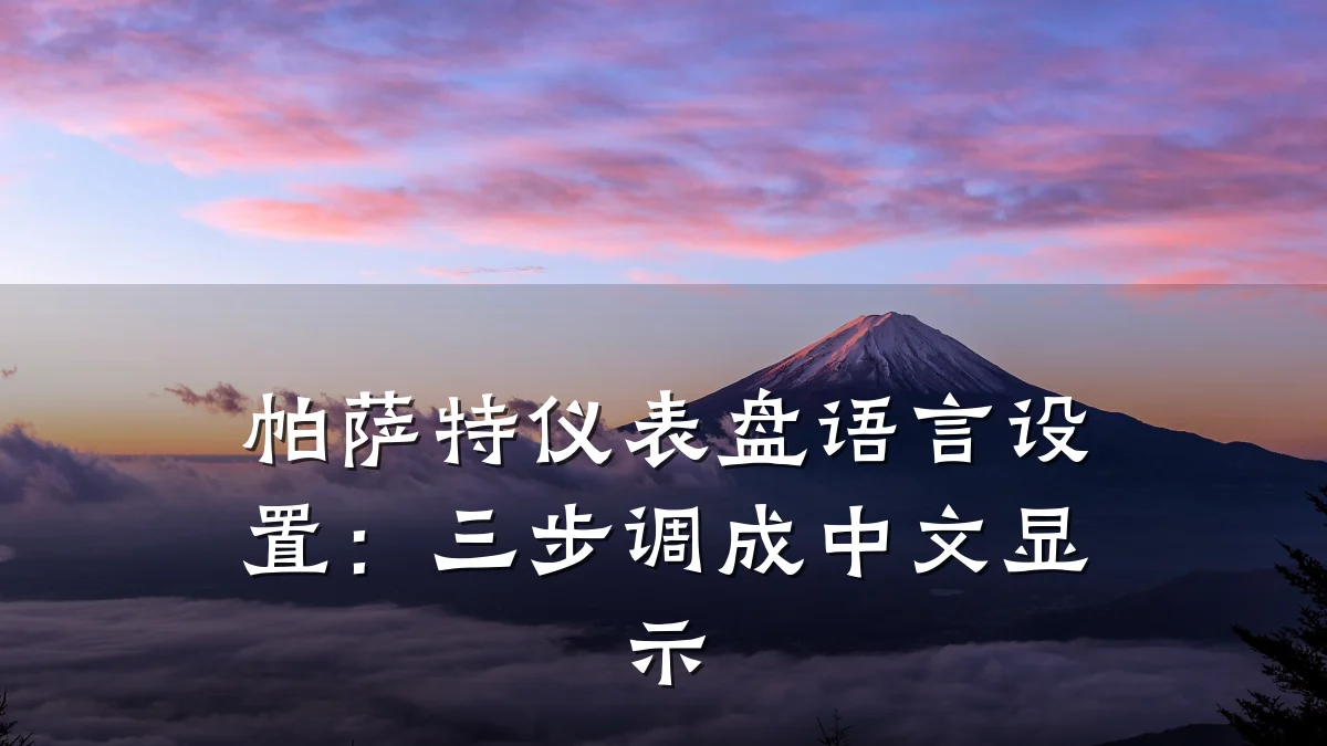帕萨特仪表盘语言设置:三步调成中文显示