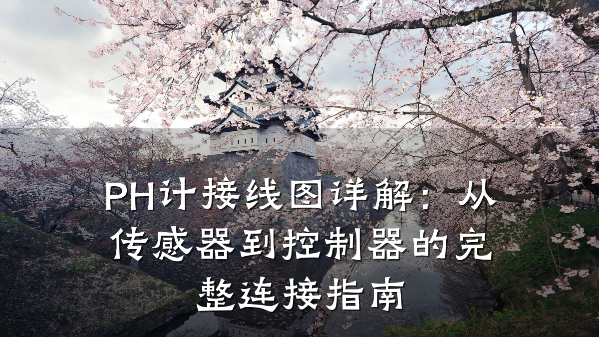 PH计接线图详解：从传感器到控制器的完整连接指南