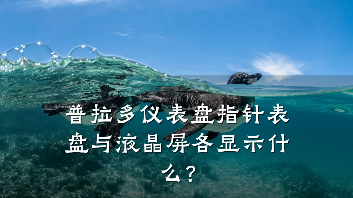 普拉多仪表盘指针表盘与液晶屏各显示什么？