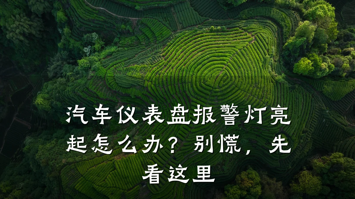 汽车仪表盘报警灯亮起怎么办?别慌,先看这里