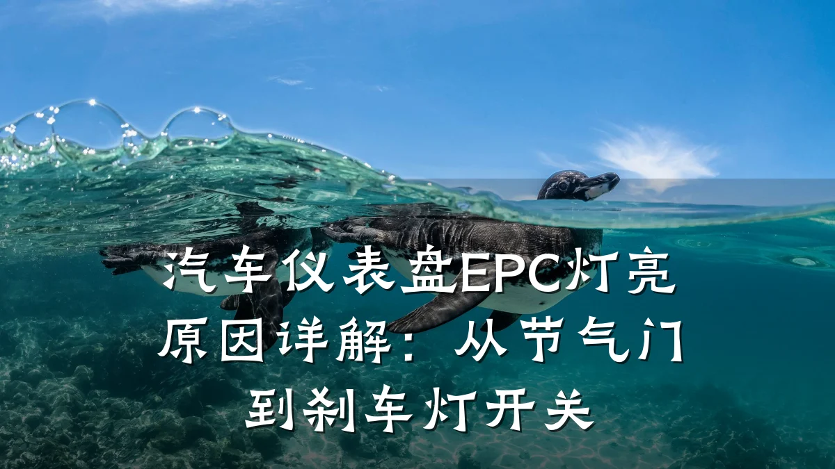 汽车仪表盘EPC灯亮原因详解:从节气门到刹车灯开关