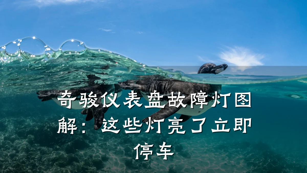 奇骏仪表盘故障灯图解:这些灯亮了立即停车