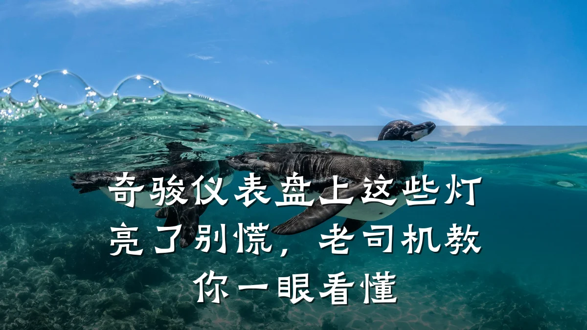 奇骏仪表盘上这些灯亮了别慌,老司机教你一眼看懂