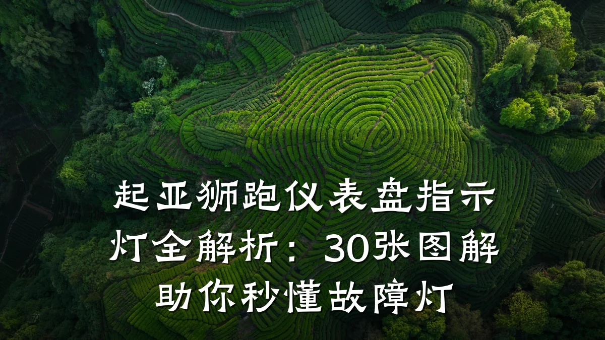 起亚狮跑仪表盘指示灯全解析:30张图解助你秒懂故障灯
