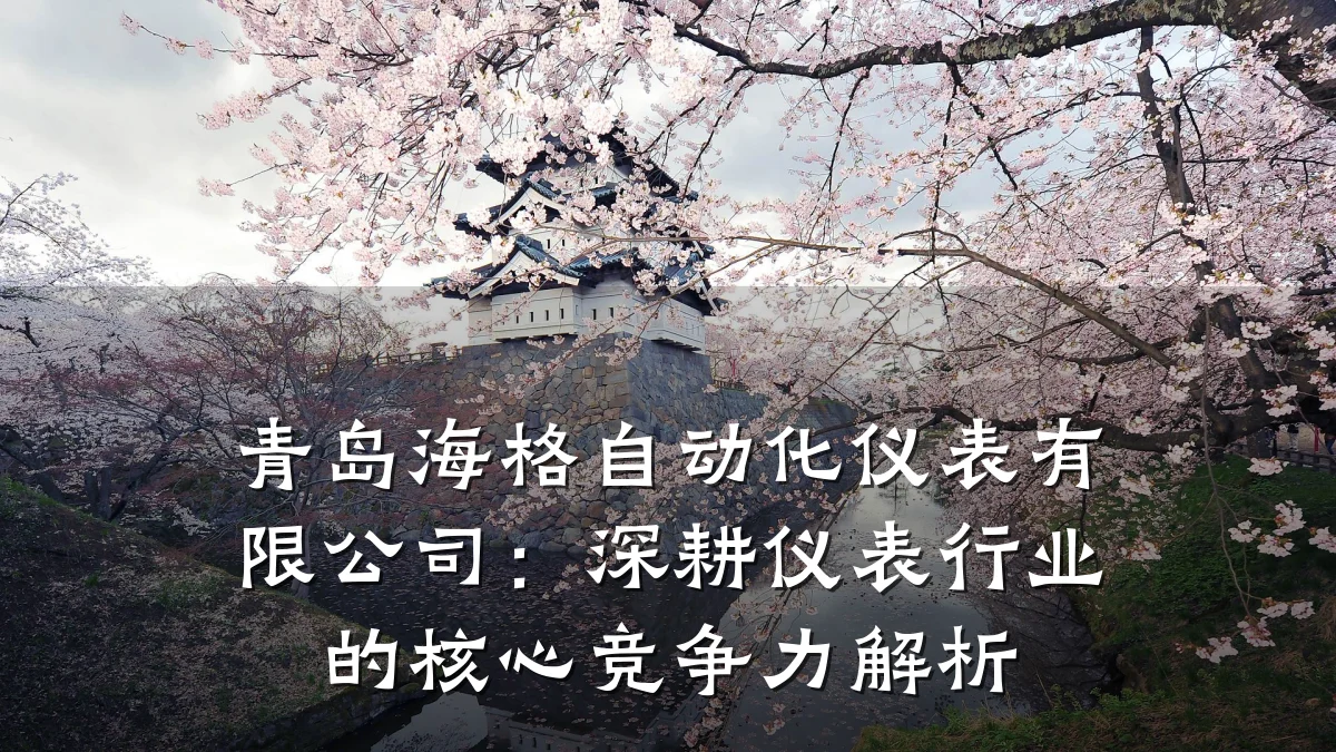 青岛海格自动化仪表有限公司:深耕仪表行业的核心竞争力解析
