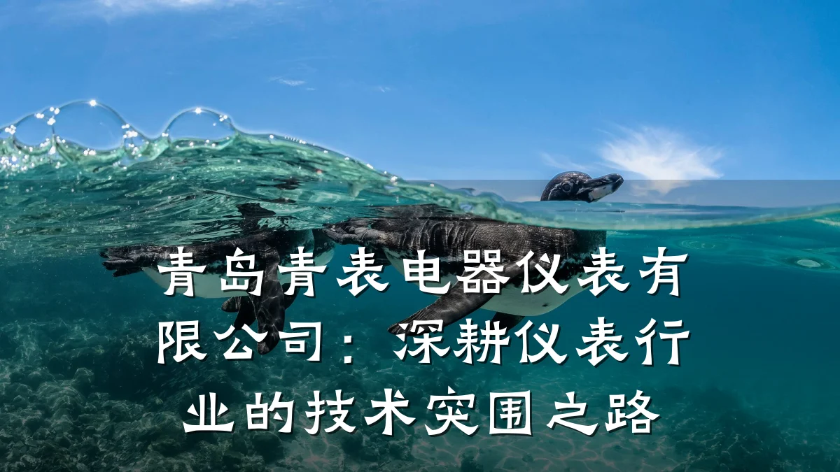 青岛青表电器仪表有限公司:深耕仪表行业的技术突围之路