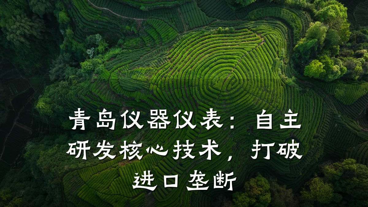 青岛仪器仪表:自主研发核心技术,打破进口垄断