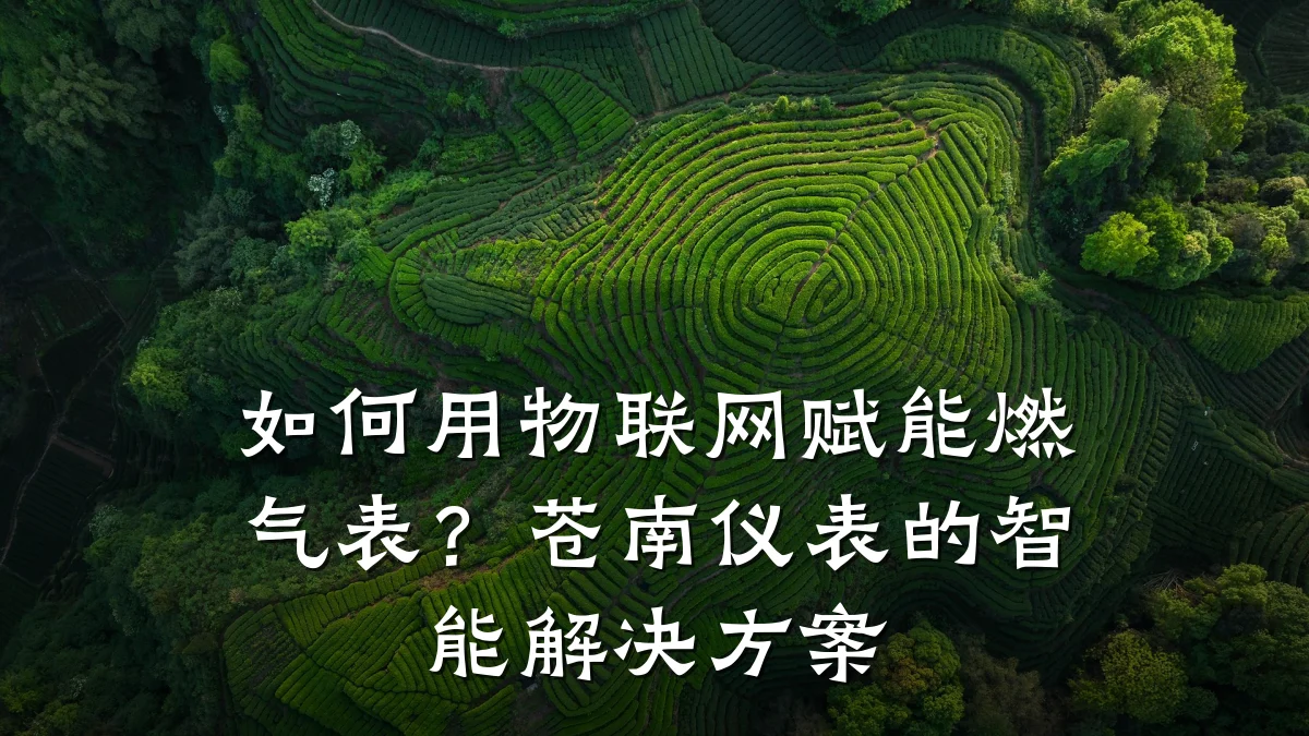 如何用物联网赋能燃气表?苍南仪表的智能解决方案
