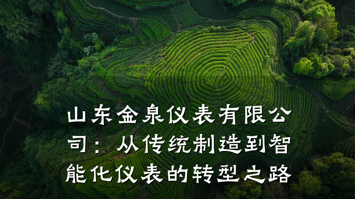 山东金泉仪表有限公司:从传统制造到智能化仪表的转型之路