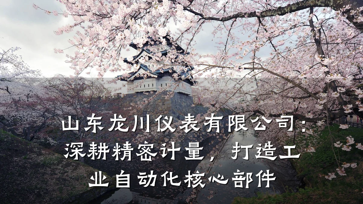 山东龙川仪表有限公司:深耕精密计量,打造工业自动化核心部件