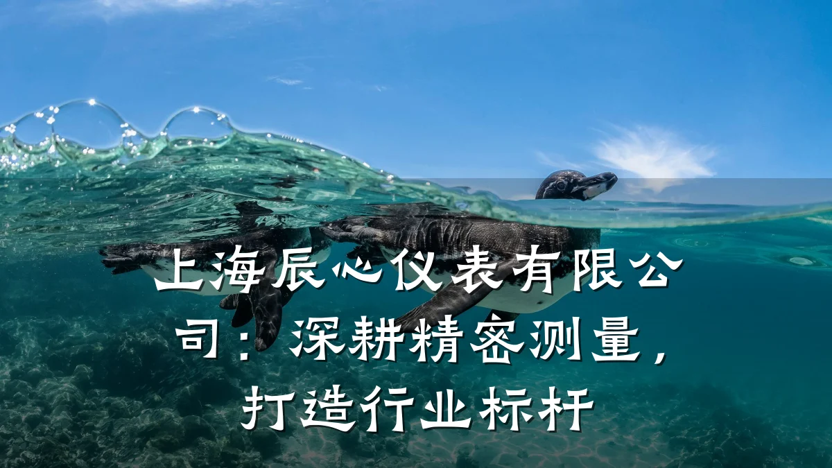 上海辰心仪表有限公司:深耕精密测量,打造行业标杆