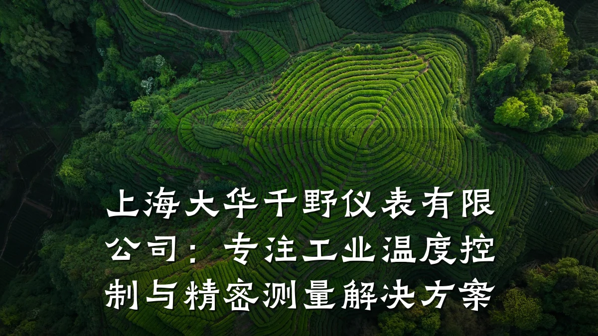 上海大华千野仪表有限公司:专注工业温度控制与精密测量解决方案