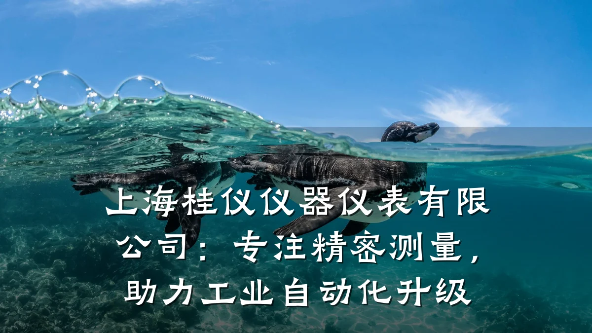 上海桂仪仪器仪表有限公司:专注精密测量,助力工业自动化升级