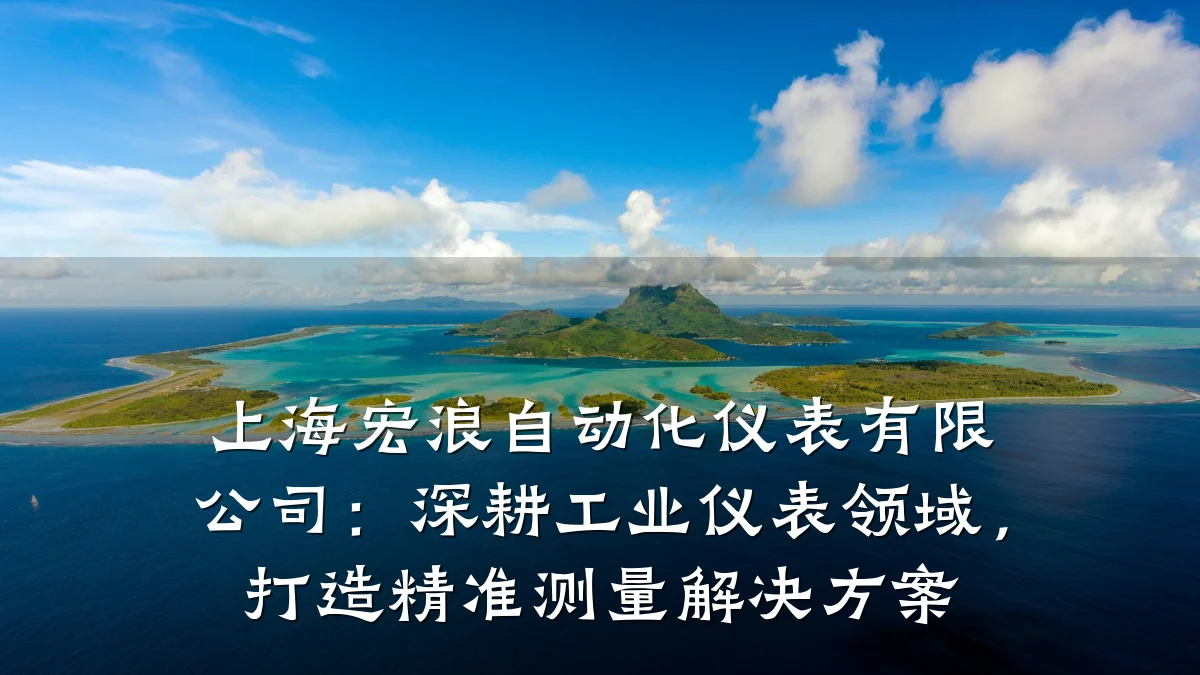 上海宏浪自动化仪表有限公司:深耕工业仪表领域,打造精准测量解决方案
