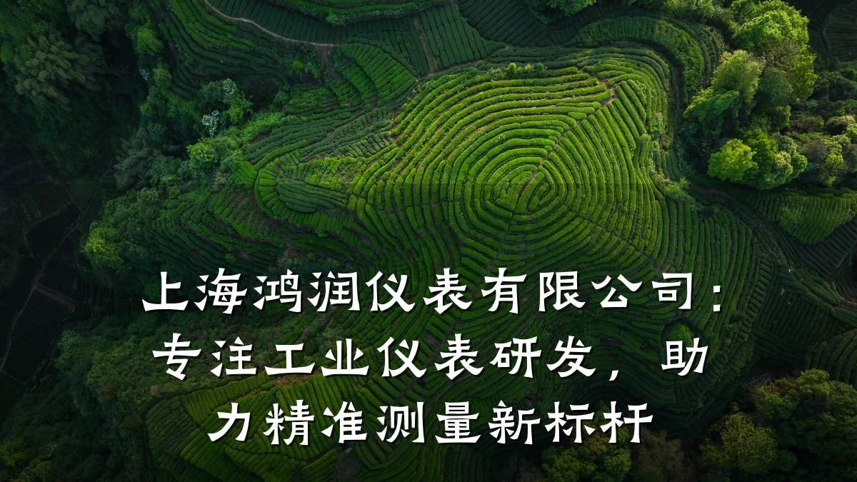 上海鸿润仪表有限公司:专注工业仪表研发,助力精准测量新标杆