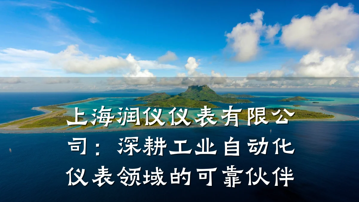 上海润仪仪表有限公司:深耕工业自动化仪表领域的可靠伙伴