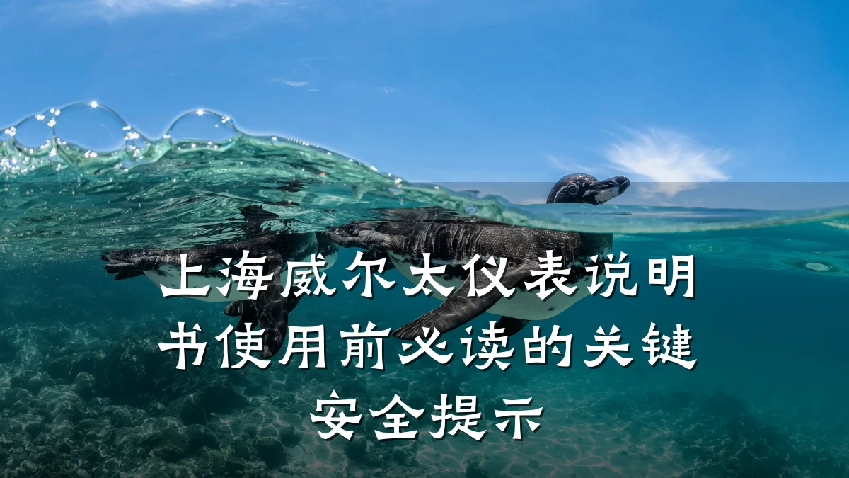 上海威尔太仪表说明书使用前必读的关键安全提示