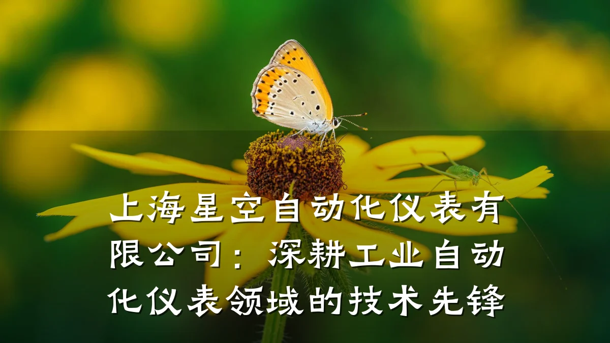 上海星空自动化仪表有限公司：深耕工业自动化仪表领域的技术先锋