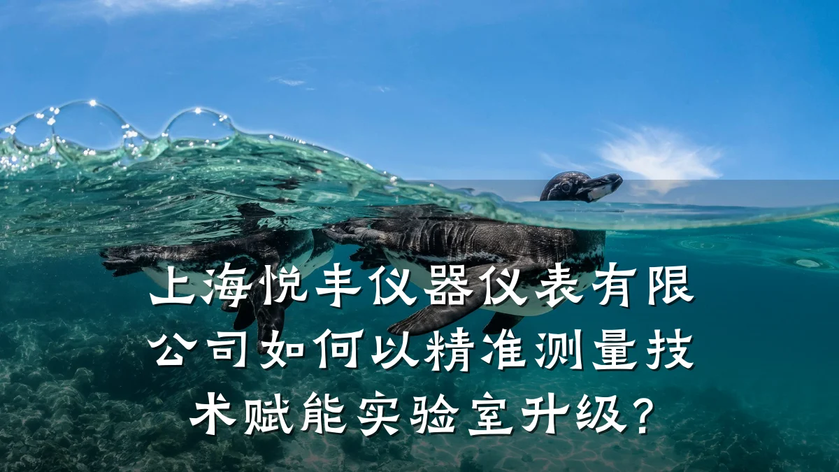 上海悦丰仪器仪表有限公司如何以精准测量技术赋能实验室升级？