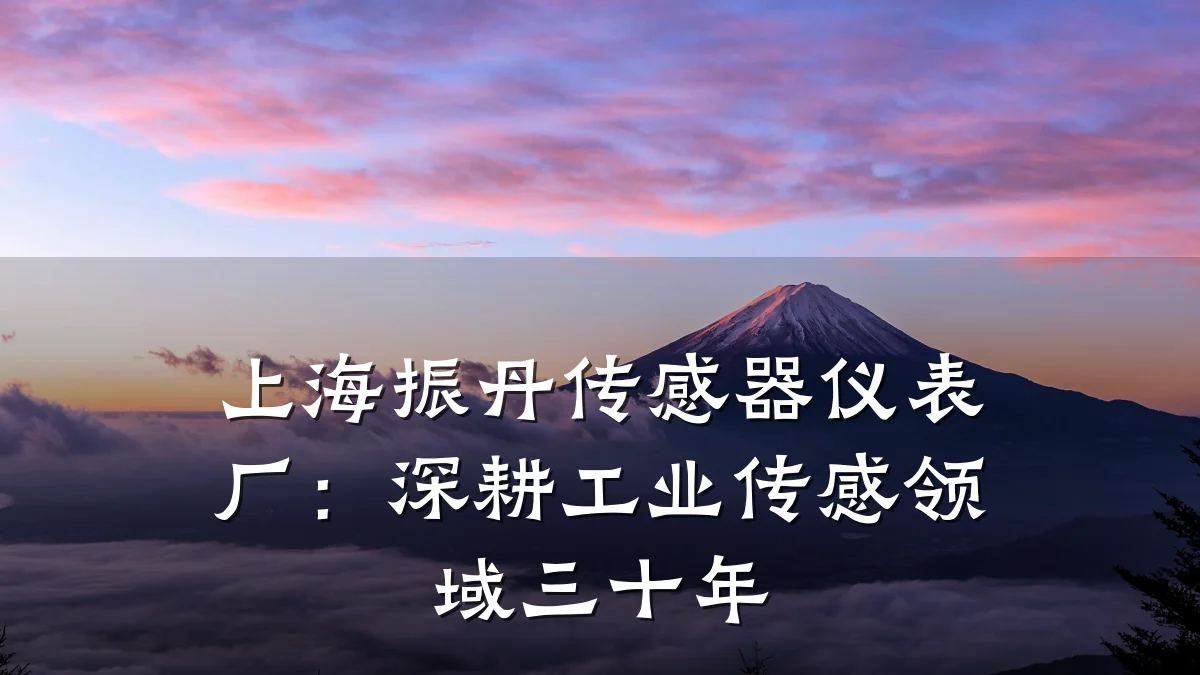 上海振丹传感器仪表厂:深耕工业传感领域三十年