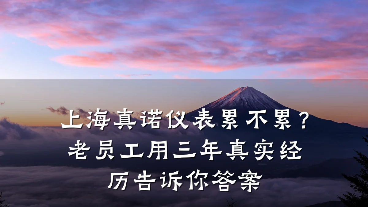 上海真诺仪表累不累?老员工用三年真实经历告诉你答案